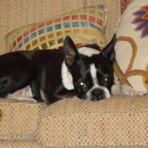 Meet your Posher, Alicia